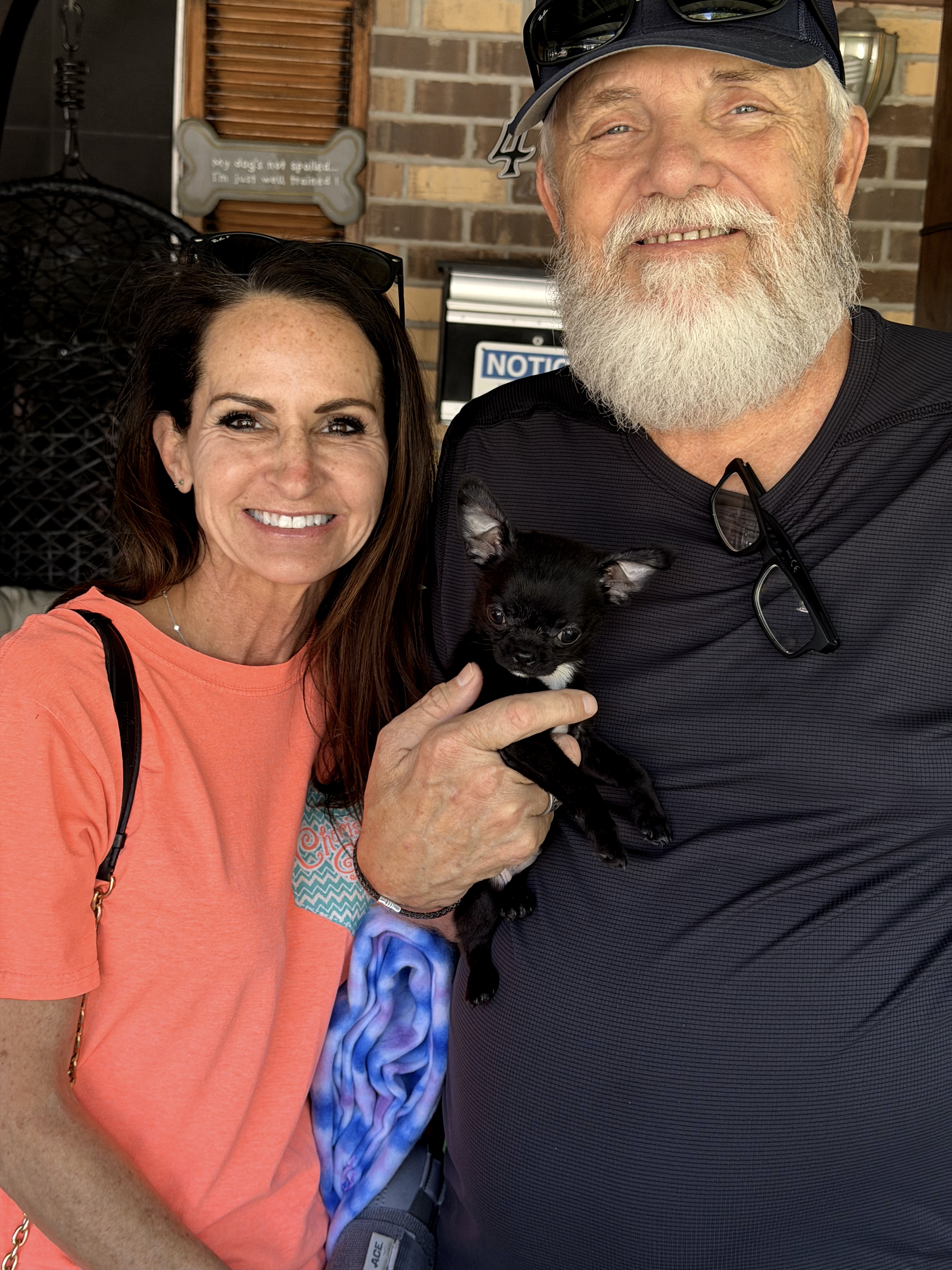AKC Registered Yorkie and Chihuahua puppies - Southeast Texas Angel Face Yorkies and Charming Chihuahuas 