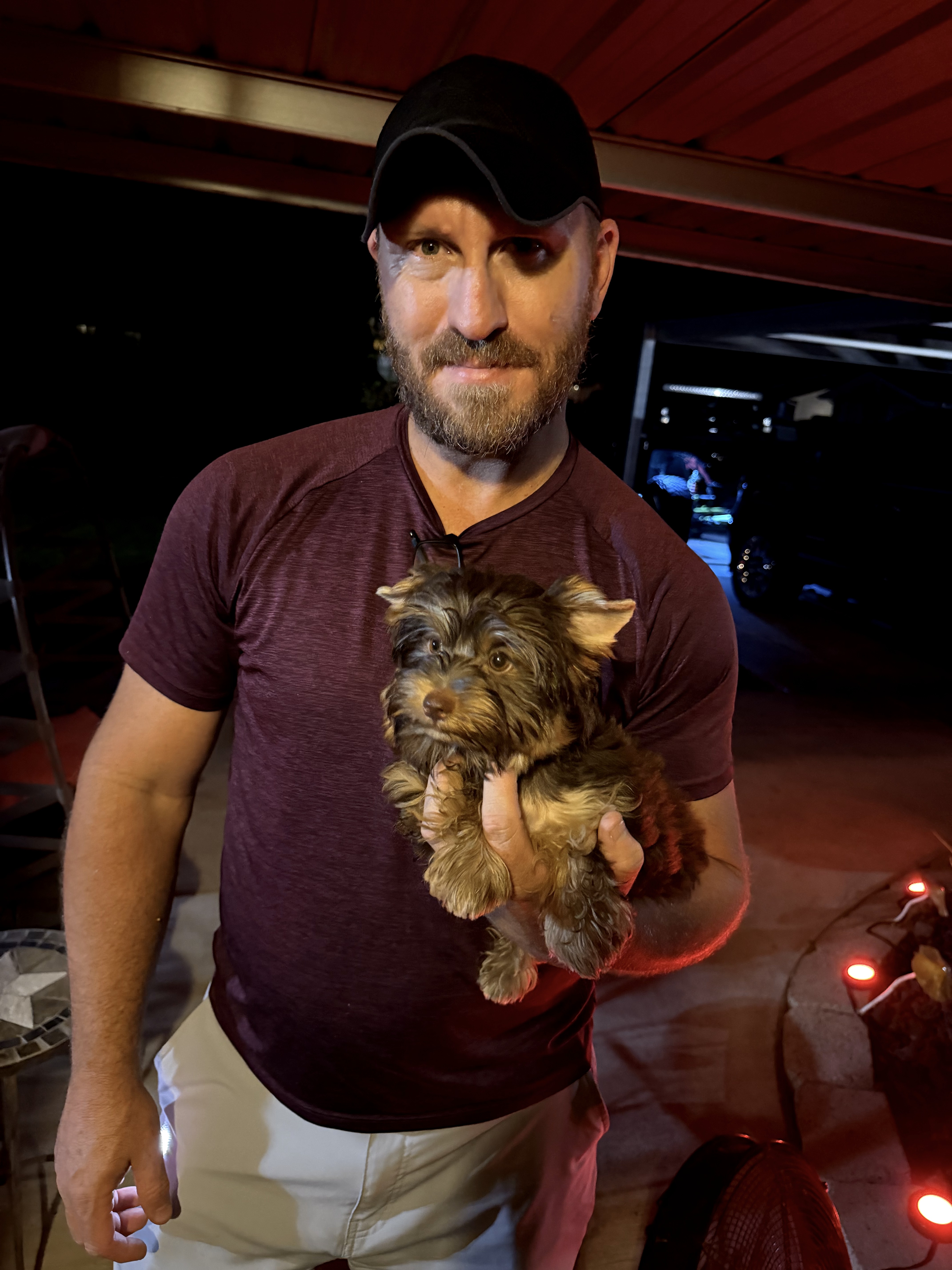 Southeast Texas Angel Face Yorkies and Charming Chihuahuas Boujii Babies
